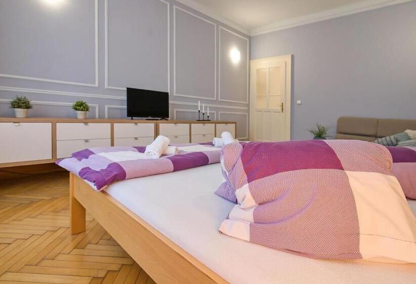 펜션 Stodolní Apartment