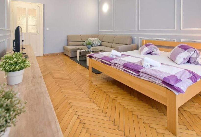 펜션 Stodolní Apartment