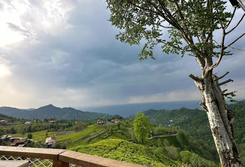 אתר נופש Pagen Bungalow