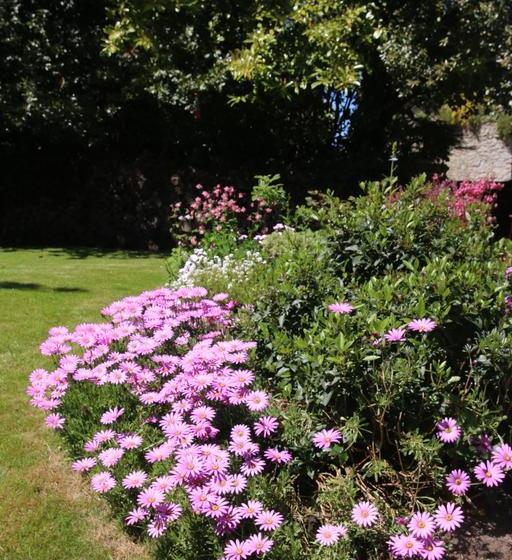 צימר Bedford Lodge