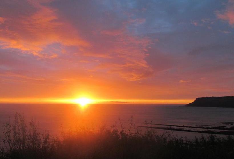 Birtley House Bed And Breakfast