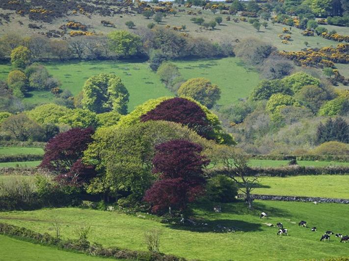 צימר Copper Meadow