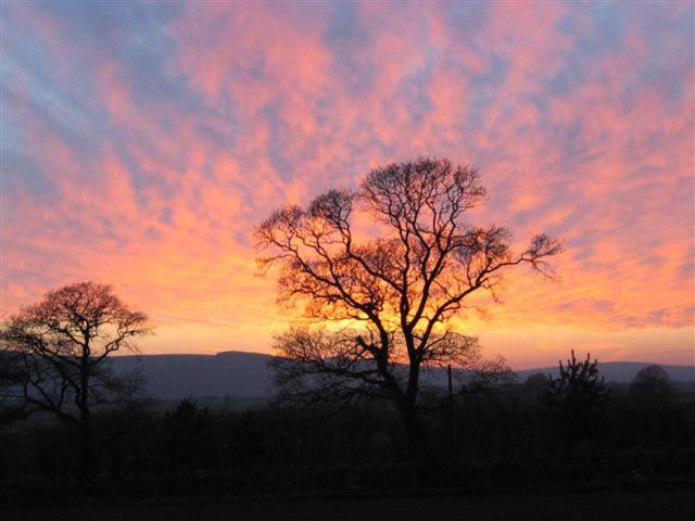 צימר Copper Meadow