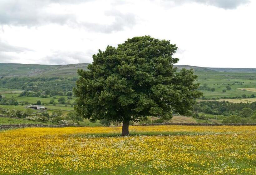 مبيت وإفطار Cornlee