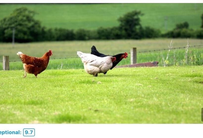 مبيت وإفطار Crofthead Farm House