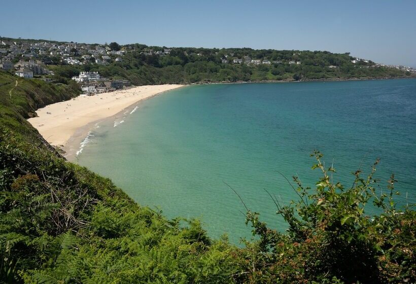 Bed and Breakfast Halwell Lodge