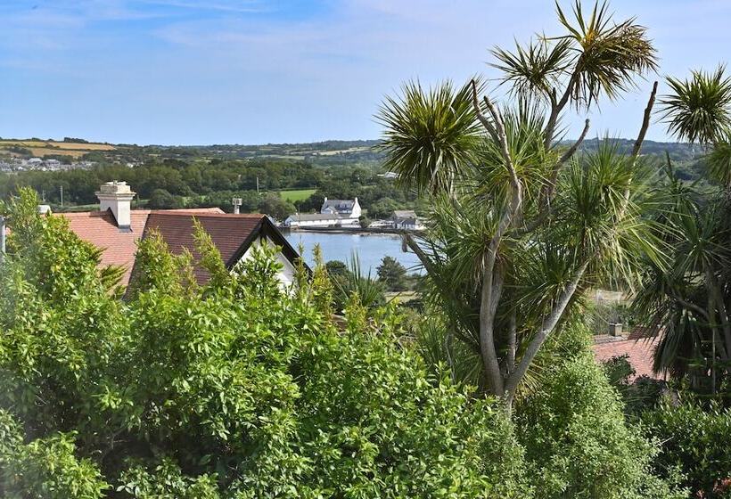 Bed and Breakfast Halwell Lodge