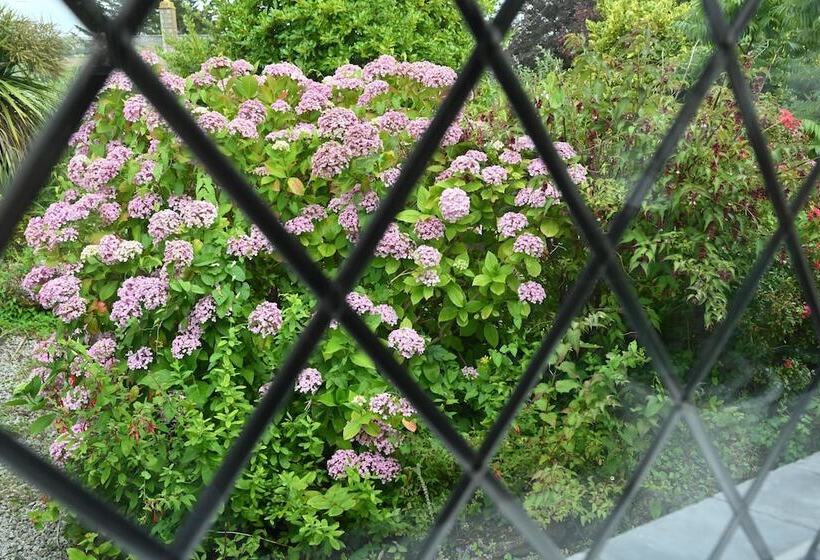 Bed and Breakfast Halwell Lodge