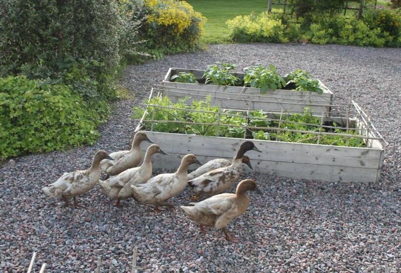 Bed and Breakfast Heatherbank Guest House