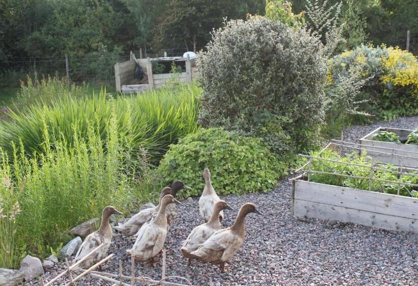 Bed and Breakfast Heatherbank Guest House