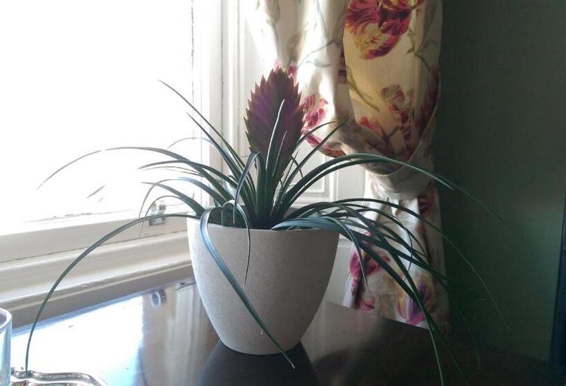 مبيت وإفطار Lochinver Guesthouse