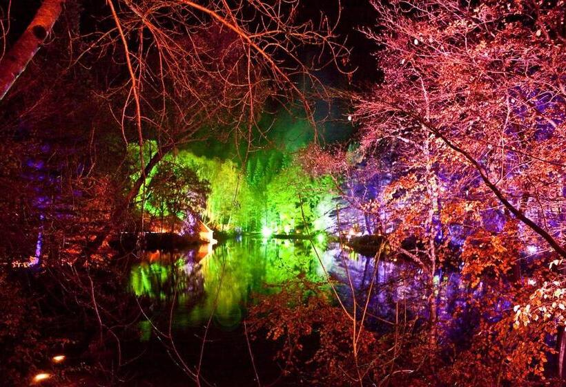 Bed and Breakfast Lugonia