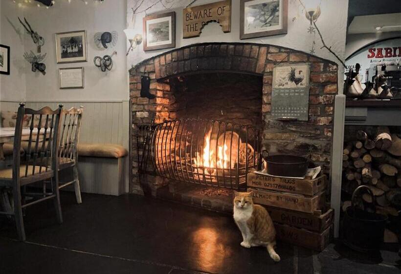 ベッドアンドブレックファースト Molesworth Arms Pyworthy