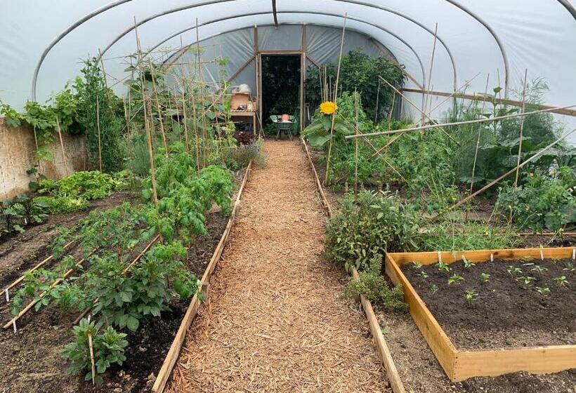 ベッドアンドブレックファースト Molesworth Arms Pyworthy