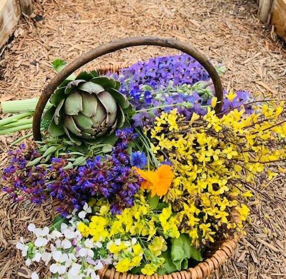 ベッドアンドブレックファースト Molesworth Arms Pyworthy