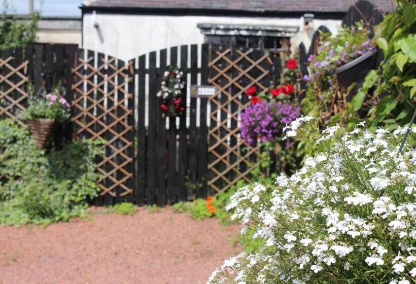 مبيت وإفطار St Leonards Guest House