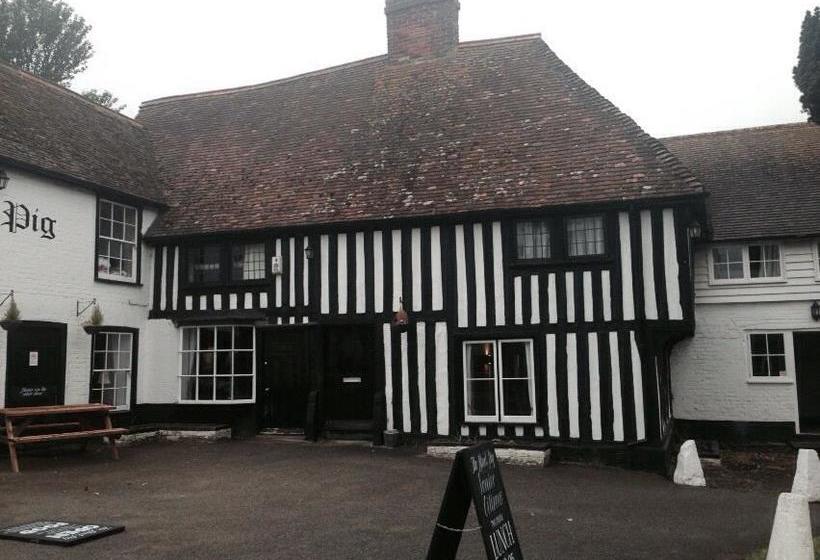 ベッドアンドブレックファースト The Black Pig Public House