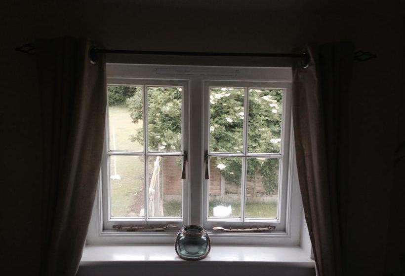 ベッドアンドブレックファースト The Black Pig Public House