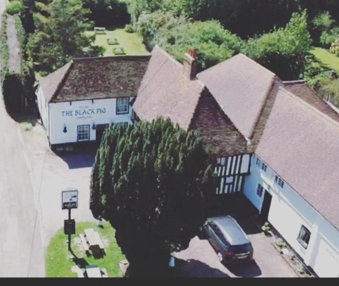 ベッドアンドブレックファースト The Black Pig Public House