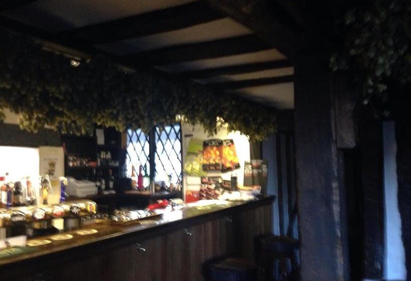 ベッドアンドブレックファースト The Black Pig Public House