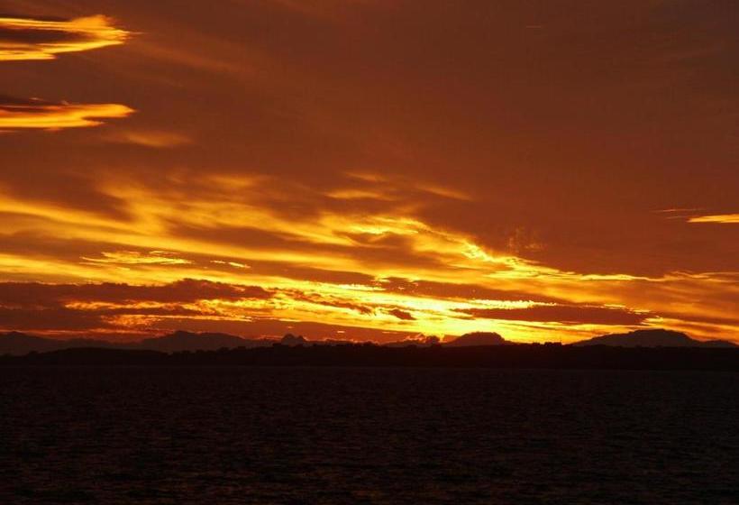 Bed and Breakfast The Dragonfly