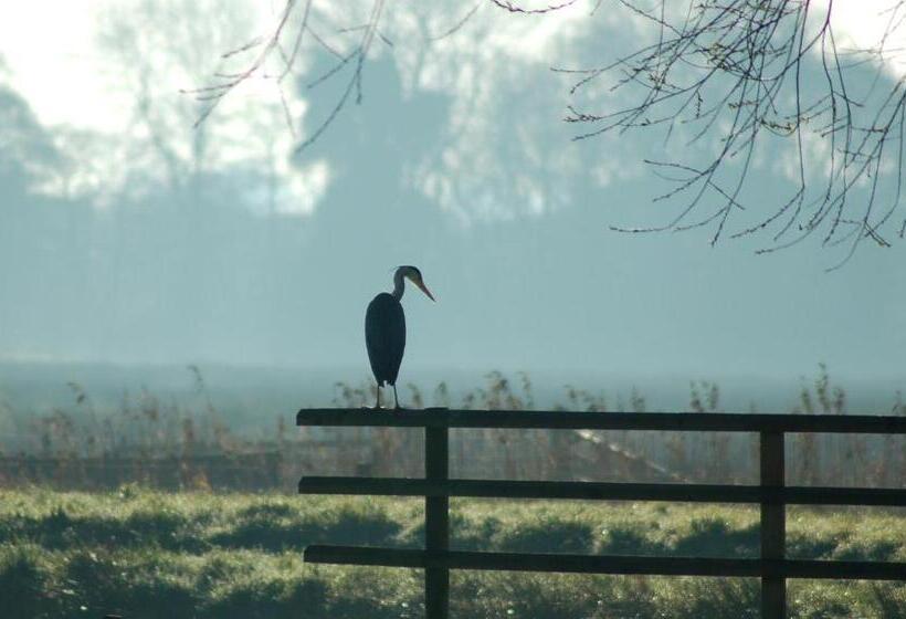 ベッドアンドブレックファースト The Harnser