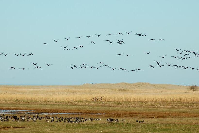 ベッドアンドブレックファースト The Harnser