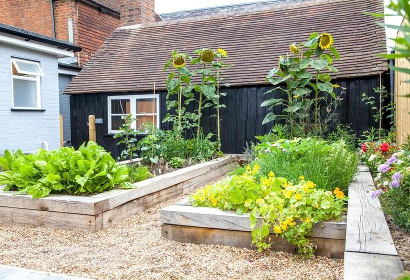 Bed and Breakfast The Horse & Cart