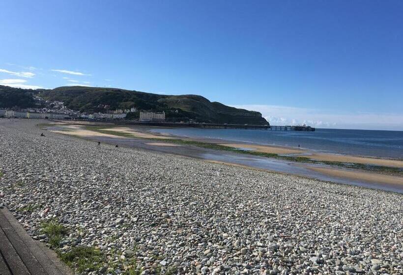 住宿加早餐  The Oasis