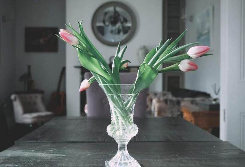 مبيت وإفطار Upton House