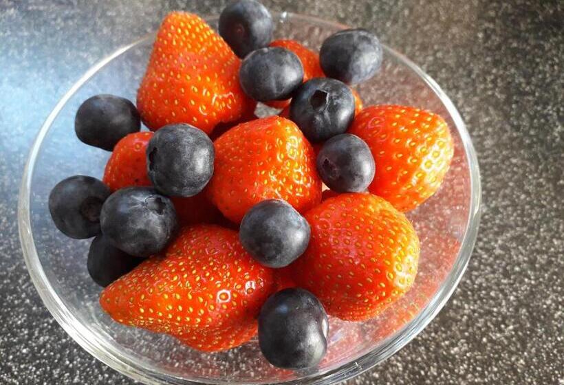 Bed and Breakfast Wild Air Guest House