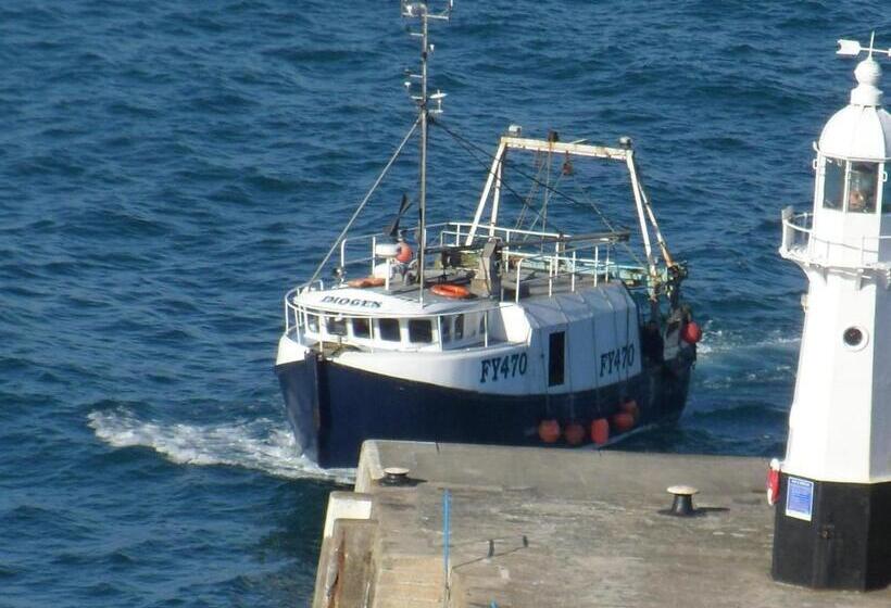 Bed and Breakfast Wild Air Guest House