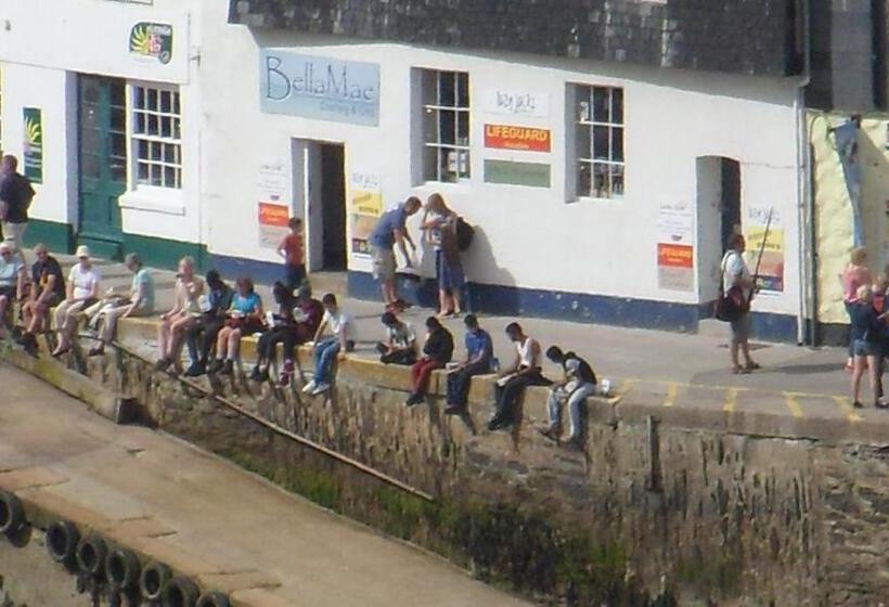 Bed and Breakfast Wild Air Guest House