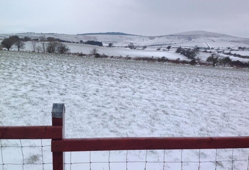 Brynhaul Bed And Breakfast