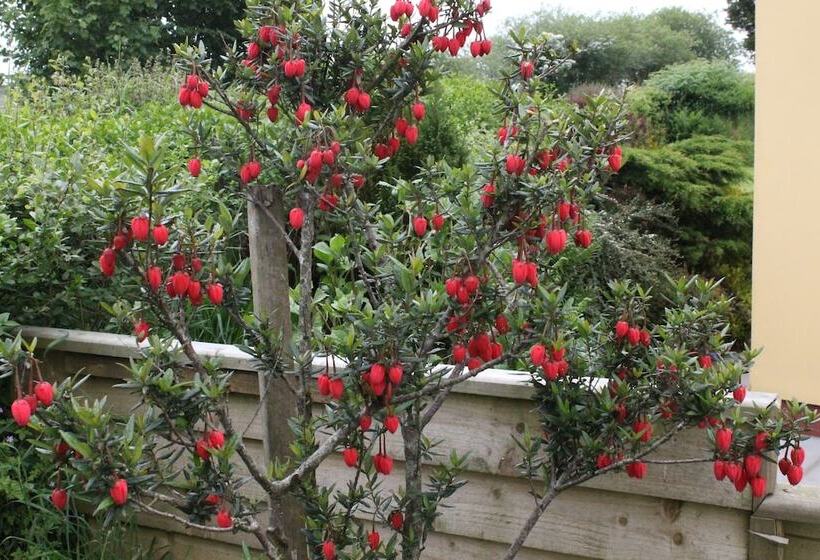 Brynhaul Bed And Breakfast