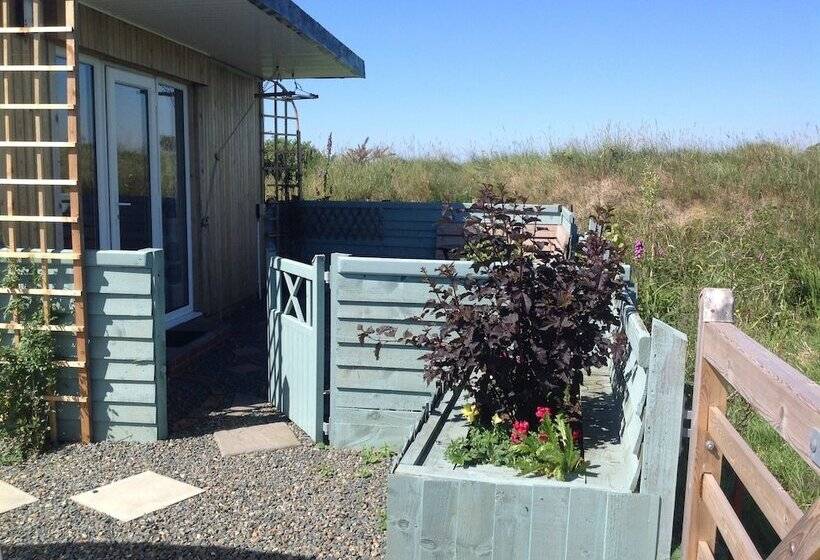 Brynhaul Bed And Breakfast