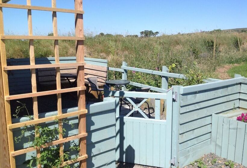 Brynhaul Bed And Breakfast