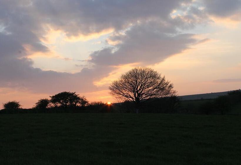 Brynhaul Bed And Breakfast