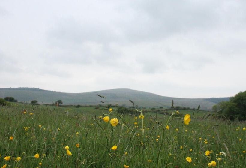 Brynhaul Bed And Breakfast