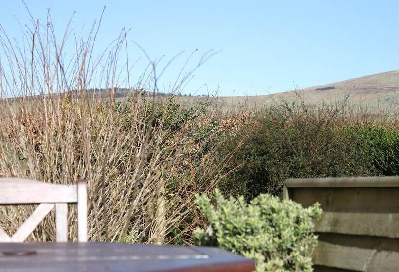 Brynhaul Bed And Breakfast