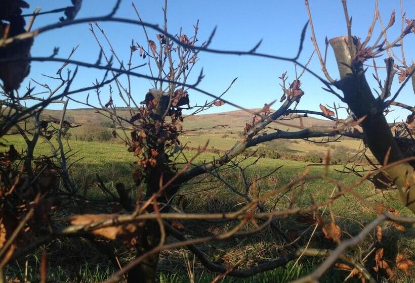 Brynhaul Bed And Breakfast