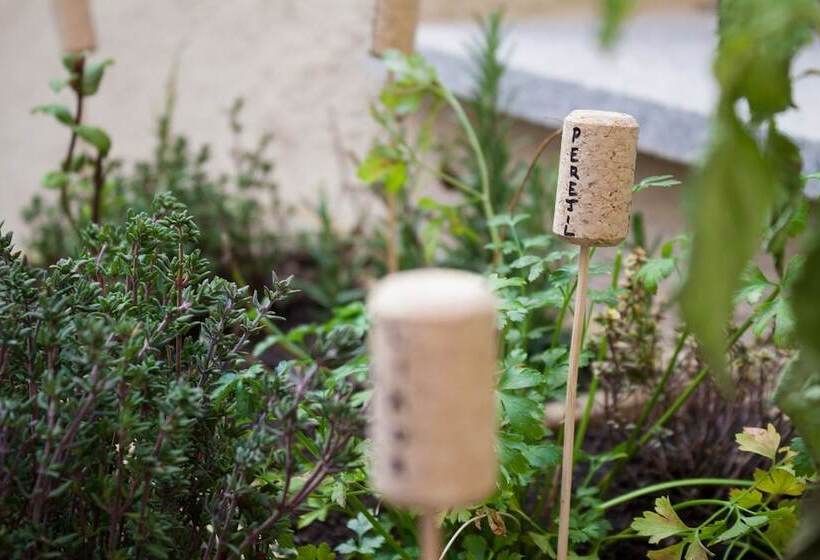 María Pacheco Hotel Boutique