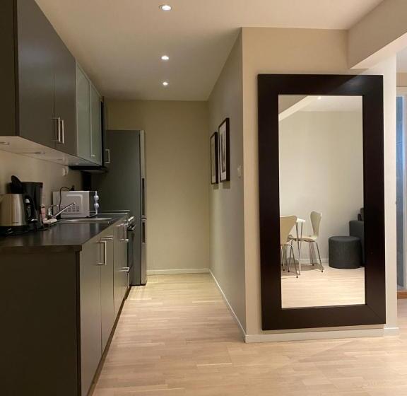 Enter Viking Apartment