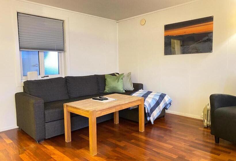 Enter Viking Apartment