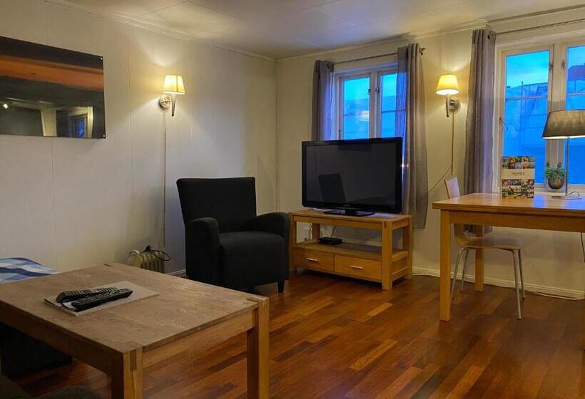 Enter Viking Apartment