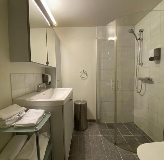 Enter Viking Apartment