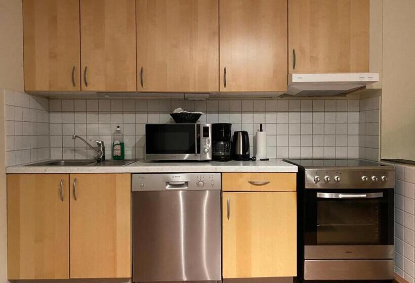 Enter Viking Apartment