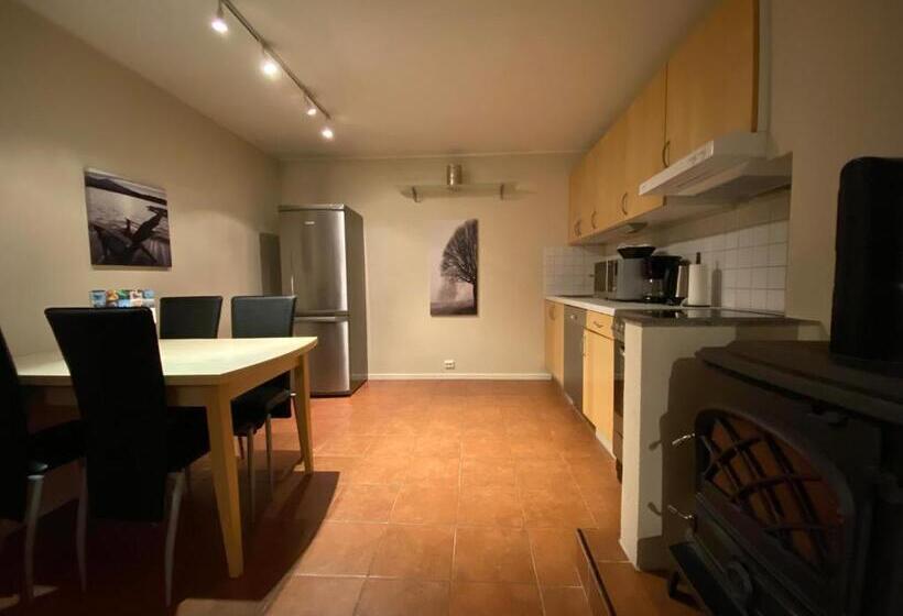 Enter Viking Apartment