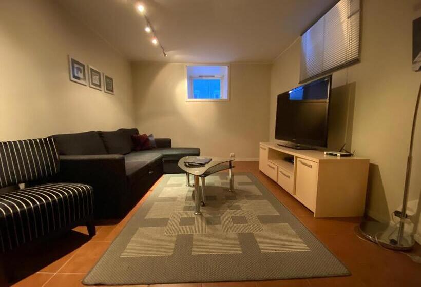 Enter Viking Apartment