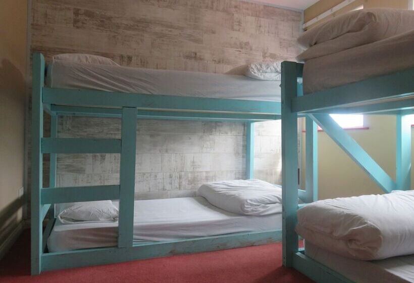 Finn Mccools Giants Causeway Hostel